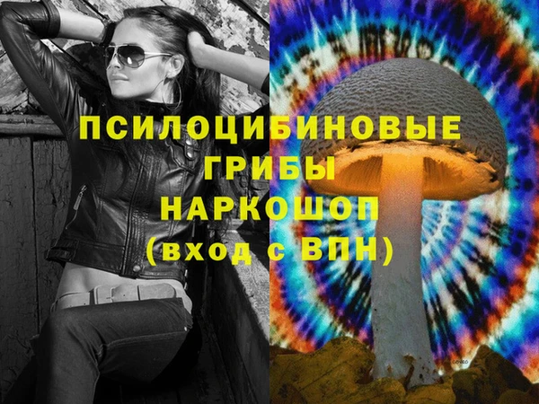 скорость Алзамай