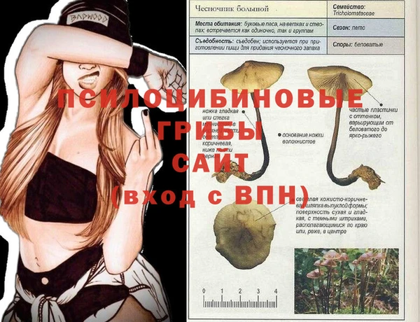скорость Алзамай