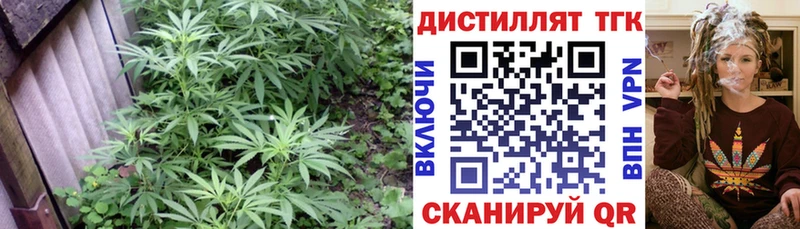 ТГК Wax  где купить   Мураши 