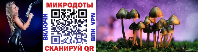 даркнет сайт Мураши Псилоцибиновые грибы Cubensis