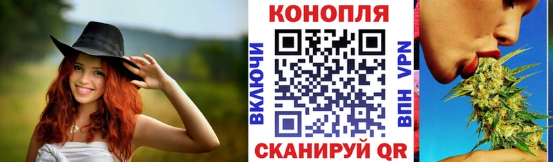закладки Мураши Конопля индика